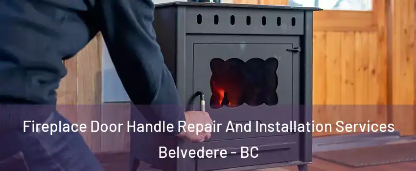  Fireplace Door Handle Repair And Installation Services Belvedere - BC