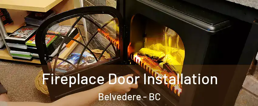 Fireplace Door Installation Belvedere - BC