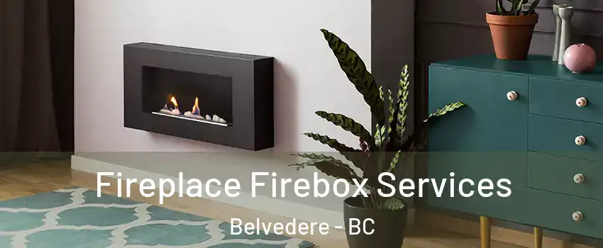  Fireplace Firebox Services Belvedere - BC