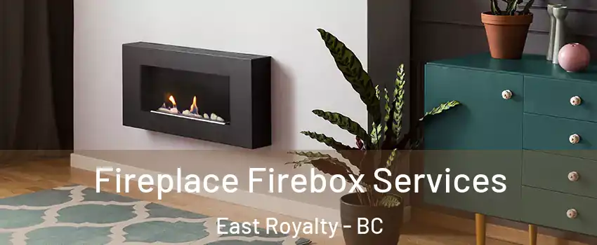  Fireplace Firebox Services East Royalty - BC