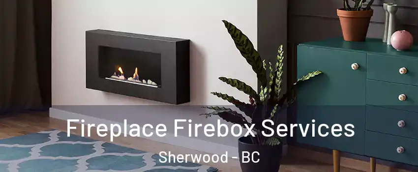 Fireplace Firebox Services Sherwood - BC