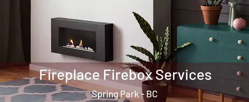  Fireplace Firebox Services Spring Park - BC
