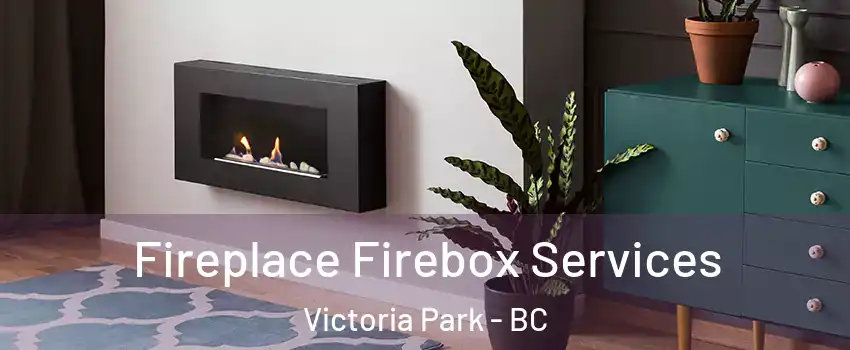  Fireplace Firebox Services Victoria Park - BC