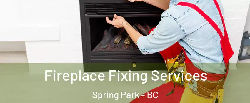  Fireplace Fixing Services Spring Park - BC