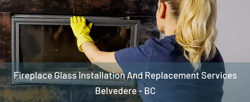  Fireplace Glass Installation And Replacement Services Belvedere - BC