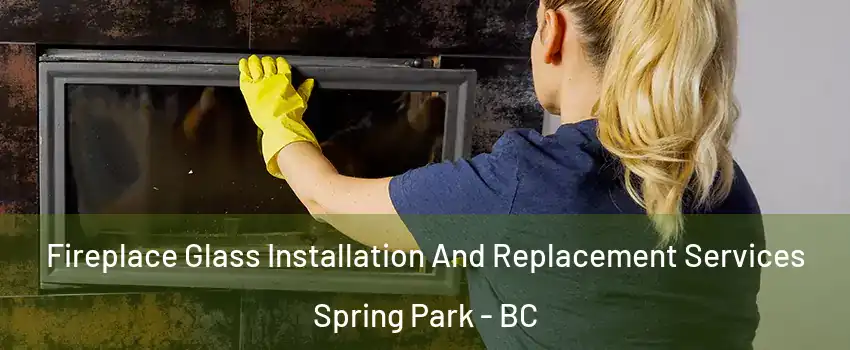  Fireplace Glass Installation And Replacement Services Spring Park - BC