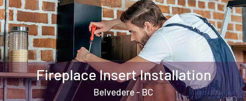  Fireplace Insert Installation Belvedere - BC