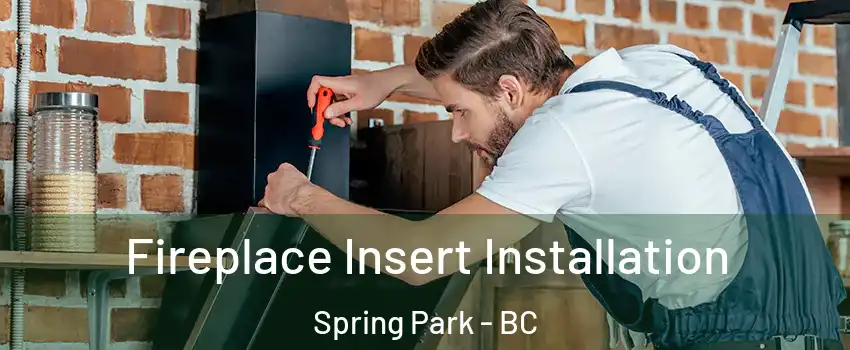  Fireplace Insert Installation Spring Park - BC