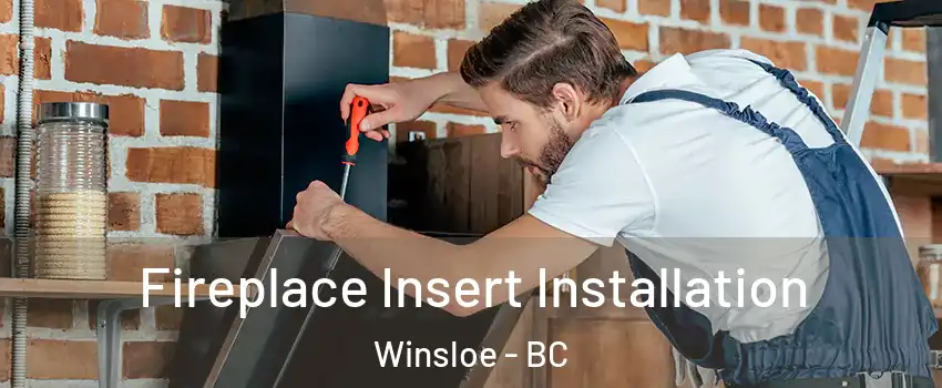  Fireplace Insert Installation Winsloe - BC