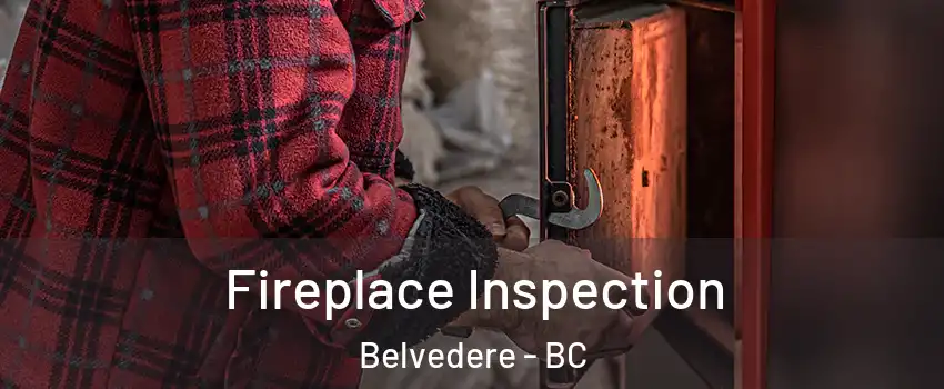  Fireplace Inspection Belvedere - BC