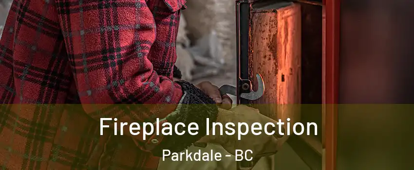  Fireplace Inspection Parkdale - BC