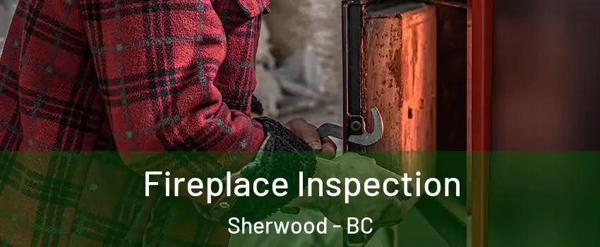  Fireplace Inspection Sherwood - BC