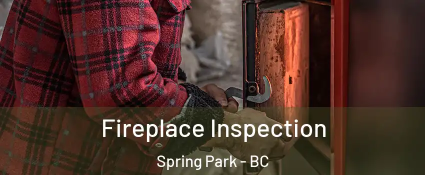  Fireplace Inspection Spring Park - BC