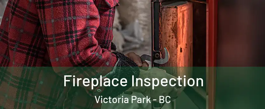  Fireplace Inspection Victoria Park - BC