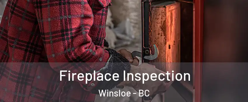  Fireplace Inspection Winsloe - BC