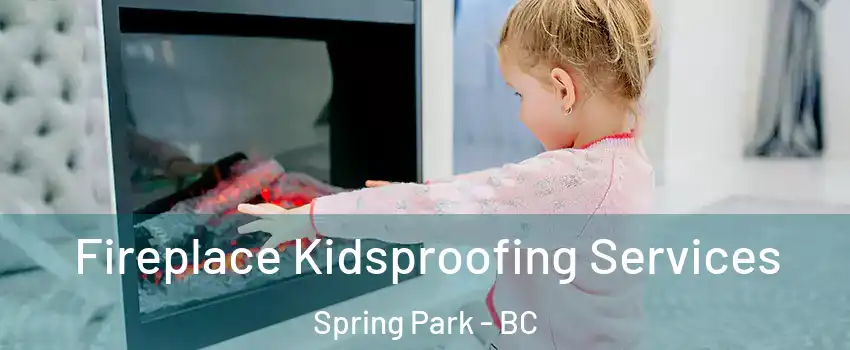  Fireplace Kidsproofing Services Spring Park - BC