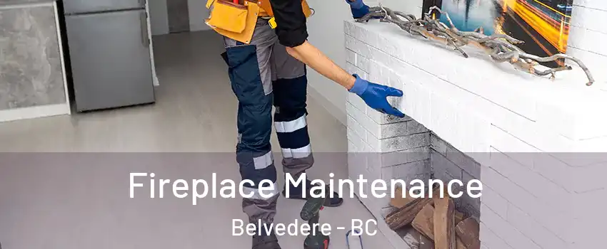  Fireplace Maintenance Belvedere - BC