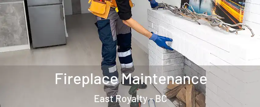  Fireplace Maintenance East Royalty - BC