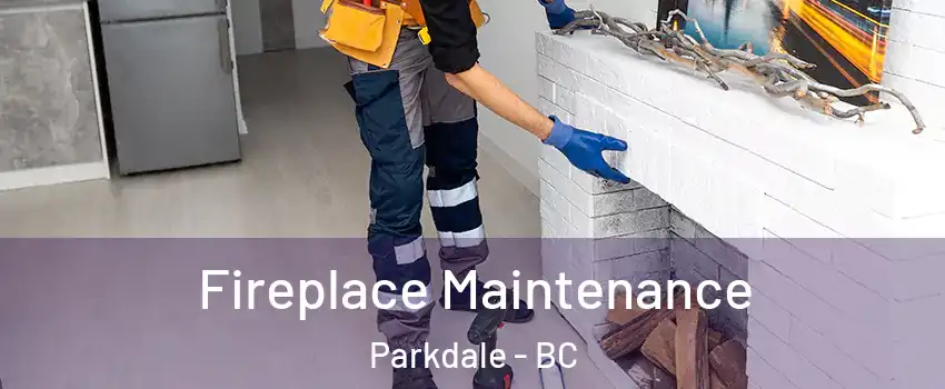 Fireplace Maintenance Parkdale - BC