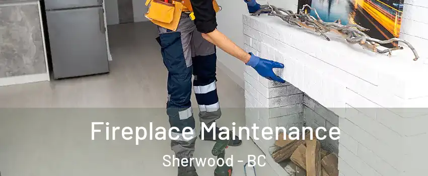 Fireplace Maintenance Sherwood - BC