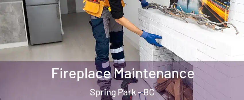  Fireplace Maintenance Spring Park - BC