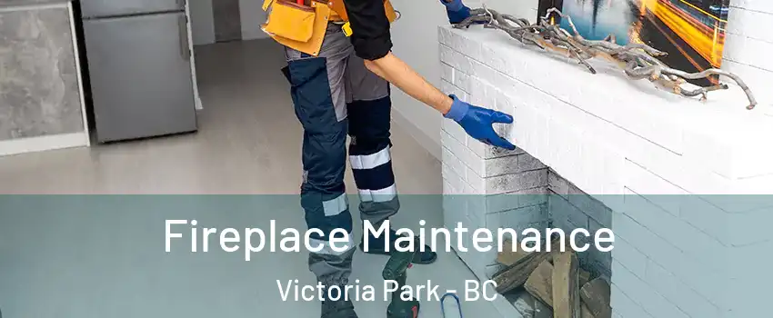  Fireplace Maintenance Victoria Park - BC