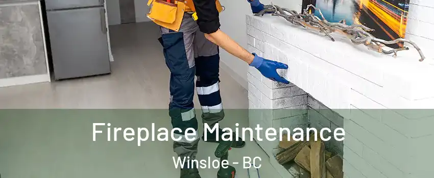  Fireplace Maintenance Winsloe - BC