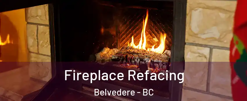 Fireplace Refacing Belvedere - BC