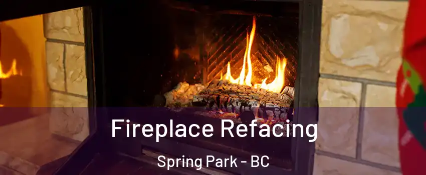  Fireplace Refacing Spring Park - BC