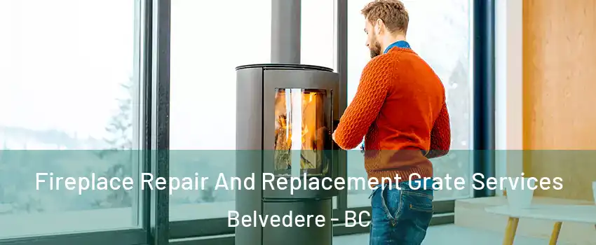  Fireplace Repair And Replacement Grate Services Belvedere - BC