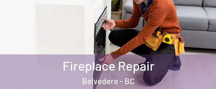  Fireplace Repair Belvedere - BC