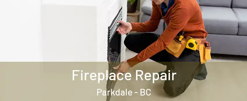  Fireplace Repair Parkdale - BC
