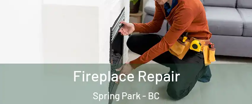  Fireplace Repair Spring Park - BC