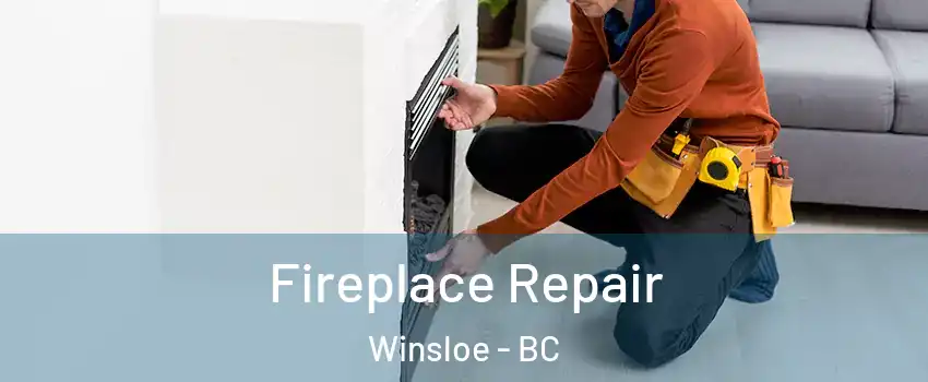  Fireplace Repair Winsloe - BC