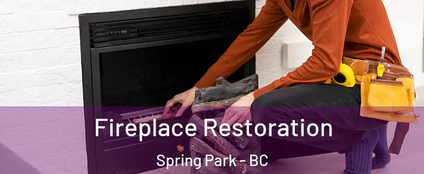  Fireplace Restoration Spring Park - BC