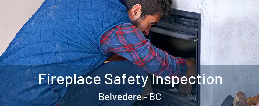  Fireplace Safety Inspection Belvedere - BC