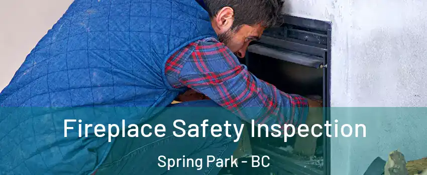  Fireplace Safety Inspection Spring Park - BC