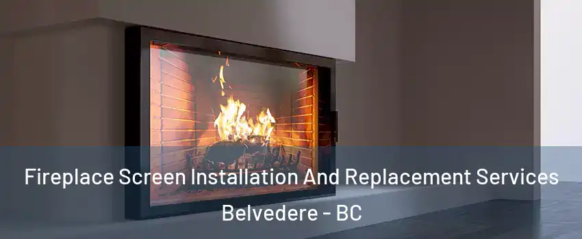 Fireplace Screen Installation And Replacement Services Belvedere - BC