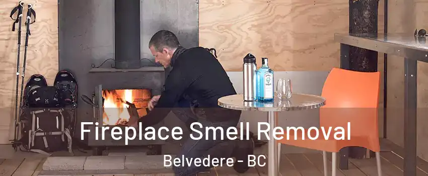  Fireplace Smell Removal Belvedere - BC