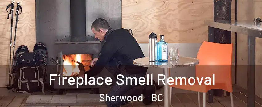  Fireplace Smell Removal Sherwood - BC