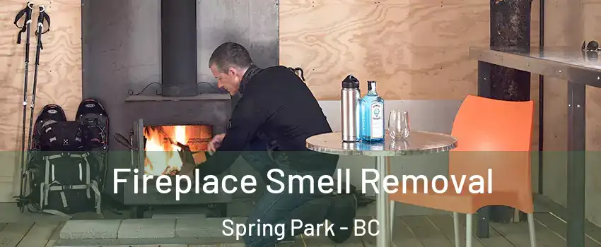 Fireplace Smell Removal Spring Park - BC