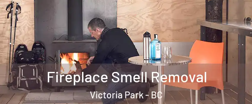  Fireplace Smell Removal Victoria Park - BC