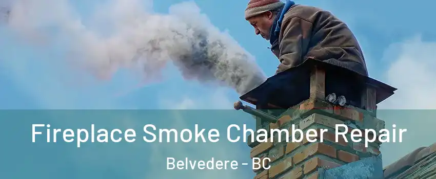 Fireplace Smoke Chamber Repair Belvedere - BC