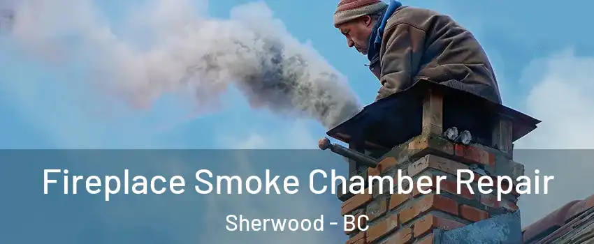  Fireplace Smoke Chamber Repair Sherwood - BC