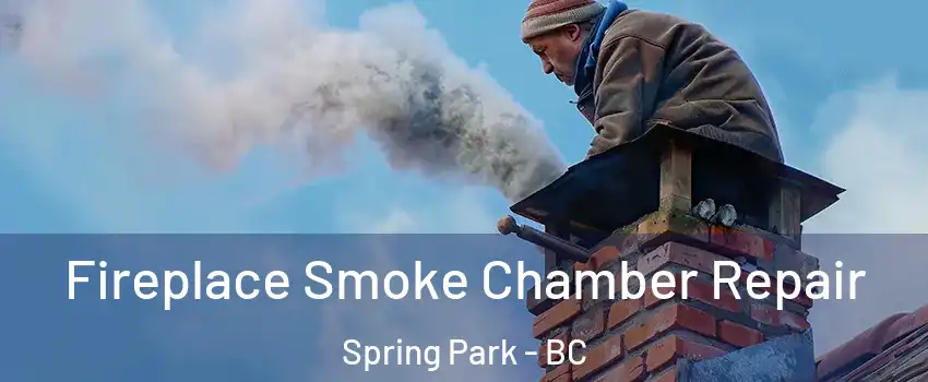  Fireplace Smoke Chamber Repair Spring Park - BC