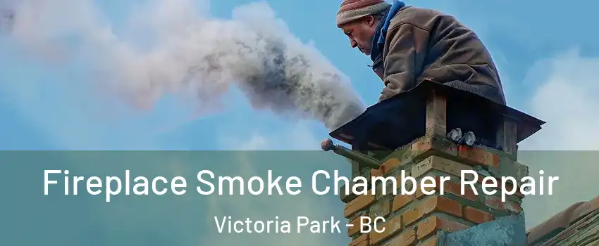  Fireplace Smoke Chamber Repair Victoria Park - BC