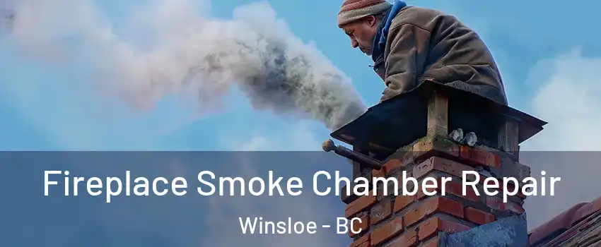 Fireplace Smoke Chamber Repair Winsloe - BC