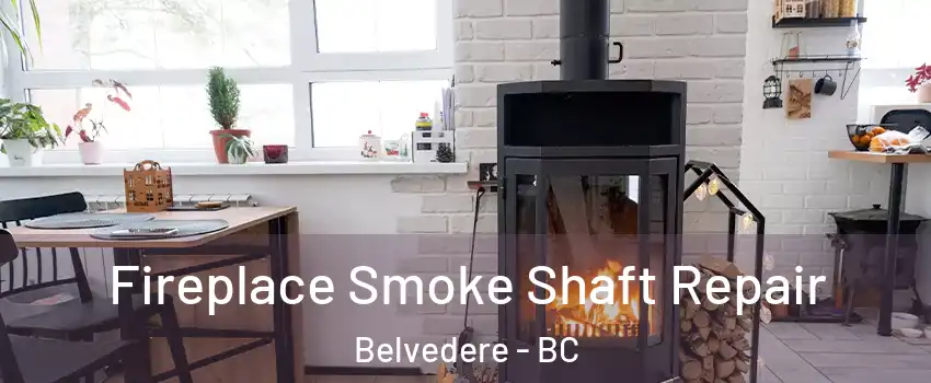  Fireplace Smoke Shaft Repair Belvedere - BC