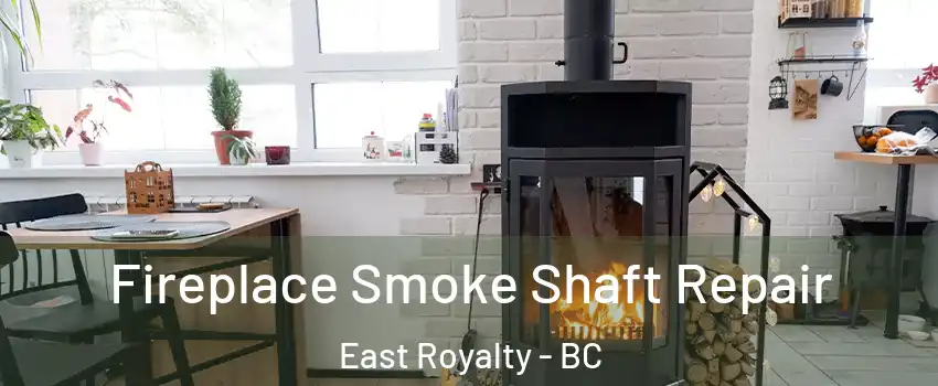  Fireplace Smoke Shaft Repair East Royalty - BC