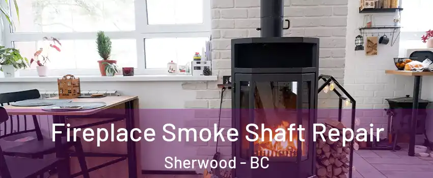  Fireplace Smoke Shaft Repair Sherwood - BC
